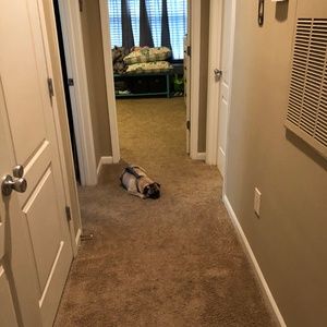 Meet your Posher, Jean